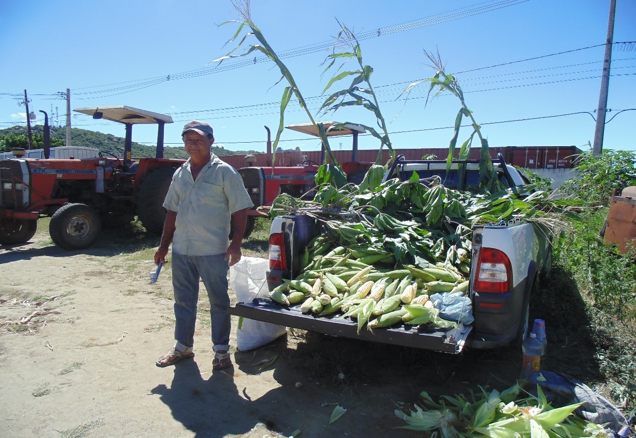 Cícero Acelino, vendendor de milho